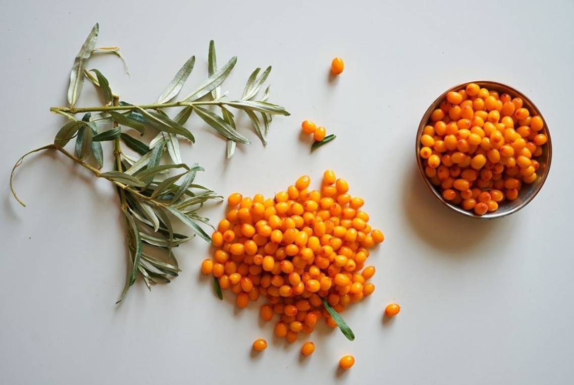 Sea Buckthorn Oil Skin Benefits