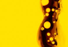 SOYBEAN EXTRACT