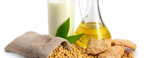 What Soybean Extract In Skincare?