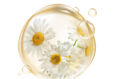 Chamomilla Flower Oil