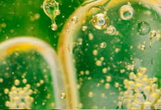 HEART LEAF EXTRACT