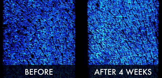 Clinical trial image