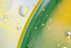 PRICKLY PEAR EXTRACT